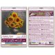 Mini Bead Embroidery Kit on Art Canvas "Homely sunflowers"