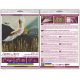 Midi Bead Embroidery Kit on Art Canvas "Coming back home"