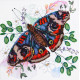 Midi Bead Embroidery Kit on Art Canvas "Color harmony"