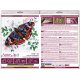 Midi Bead Embroidery Kit on Art Canvas "Color harmony"
