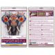 Midi Bead Embroidery Kit on Art Canvas "Secrets of the east"