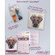 Midi Bead Embroidery Kit on Art Canvas "Secrets of the east"
