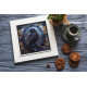 Midi Bead Embroidery Kit on Art Canvas "Shade of night"
