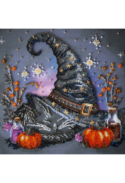 Midi Bead Embroidery Kit on Art Canvas "Dream of the Witch"