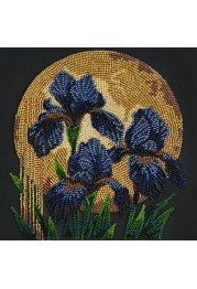Midi Bead Embroidery Kit on Art Canvas "Dancing in golden light"