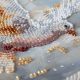 Midi Bead Embroidery Kit on Art Canvas "Dance of Doves"