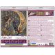 Midi Bead Embroidery Kit on Art Canvas "I’ll Draw You the Stars"