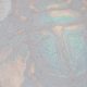 Paint by Numbers Kit on Art Canvas "Emerald beetle"