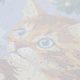 Paint by Numbers Kit on Art Canvas "Furry rascal"