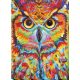 Bead Embroidery Kit on Art Canvas "Ammolite"