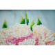 Bead Embroidery Kit on Art Canvas "White peonies"