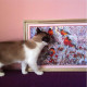 Bead Embroidery Kit on Art Canvas "Bullfinches"