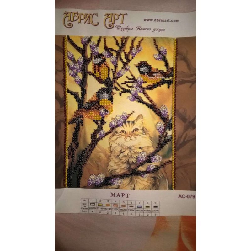 Bead Embroidery Pattern on Art Canvas "March"