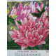 Bead Embroidery Pattern on Art Canvas "Pink lotus"