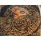 Bead Embroidery Kit on Art Canvas "Scheherazade"