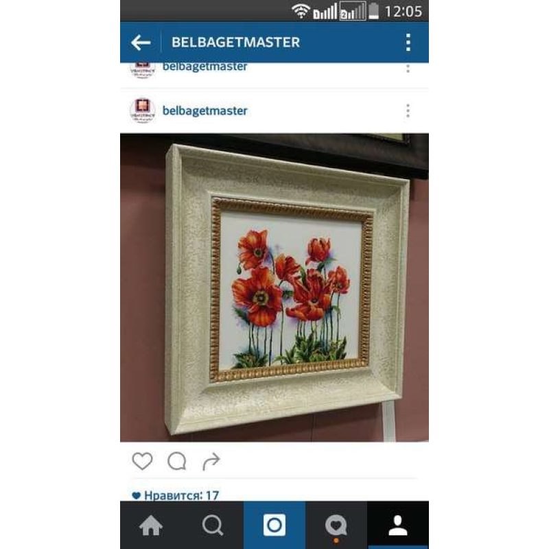 Cross Stitch Kit "Scarlet poppies"