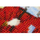 Mini Icon Bead Embroidery Kit on Art Canvas "St. Zoe"