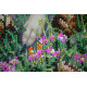 Bead Embroidery Kit on Art Canvas "Rest on the rocks"