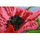Bead Embroidery Kit on Art Canvas "Wild poppies – 2"