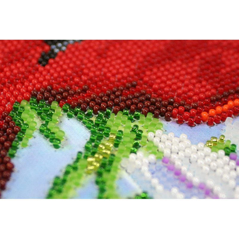 Bead Embroidery Kit on Art Canvas "Wild poppies – 3"