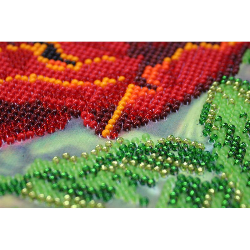 Bead Embroidery Kit on Art Canvas "Wild poppies – 3"