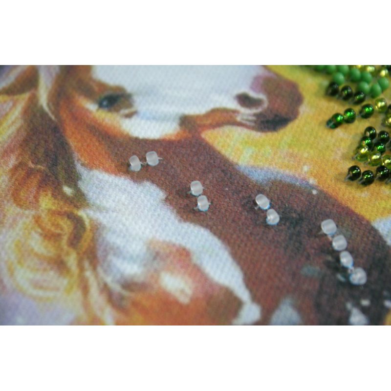 Bead Embroidery Kit on Art Canvas "Seven horses"