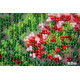Bead Embroidery Kit on Art Canvas "Watering place"