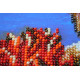 Bead Embroidery Kit on Art Canvas "Edem"