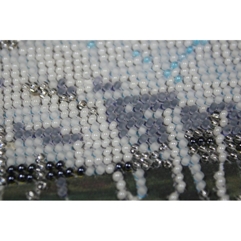 Bead Embroidery Kit on Art Canvas "Rime"