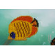 Bead Embroidery Kit on Art Canvas "Underwater hunting"