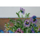 Bead Embroidery Kit on Art Canvas "Summer aroma-1"