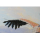 Bead Embroidery Kit on Art Canvas "Family"