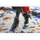 Bead Embroidery Kit on Art Canvas "Ellis"