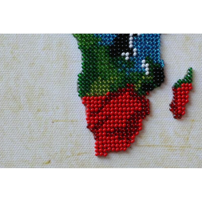 Bead Embroidery Kit on Art Canvas "World map - 2"