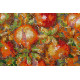 Bead Embroidery Kit on Art Canvas "Pomegranate tree"