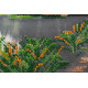Bead Embroidery Kit on Art Canvas "Dawn"
