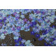 Bead Embroidery Kit on Art Canvas "Hide and Seek"