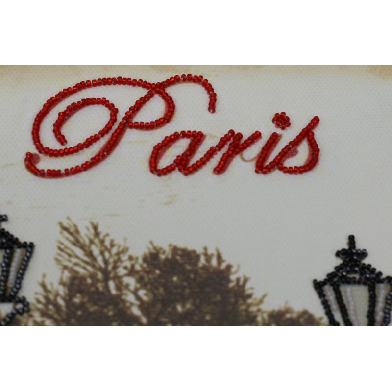 Bead Embroidery Kit on Art Canvas "Red and black"