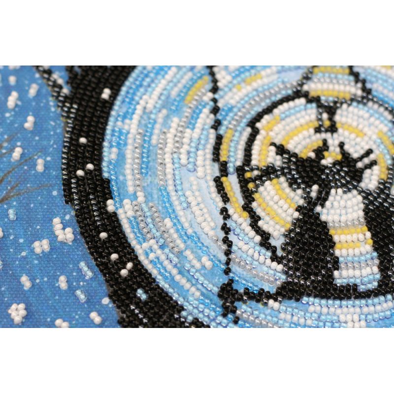 Bead Embroidery Kit on Art Canvas "Night rendezvous"
