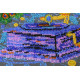Bead Embroidery Kit on Art Canvas "Magic gramophone"