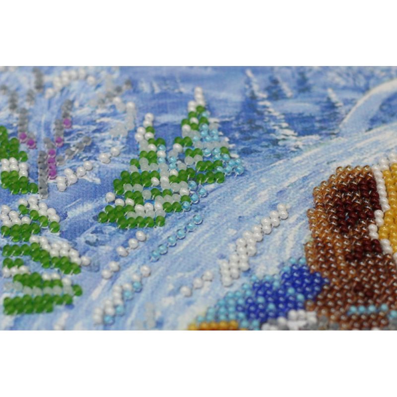 Bead Embroidery Kit on Art Canvas "Rush sled"
