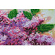 Bead Embroidery Kit on Art Canvas "Lilac still life"