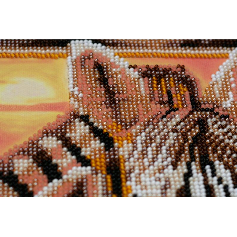 Bead Embroidery Kit on Art Canvas "Zebras"