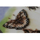 Bead Embroidery Kit on Art Canvas "Funny game"