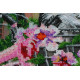 Bead Embroidery Kit on Art Canvas "Fascinating walk"