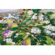 Bead Embroidery Kit on Art Canvas "Music of herbs"