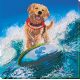 Bead Embroidery Kit on Art Canvas "A sea of joy"