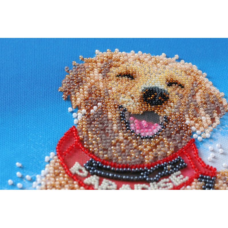 Bead Embroidery Kit on Art Canvas "A sea of joy"