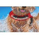 Bead Embroidery Kit on Art Canvas "A sea of joy"