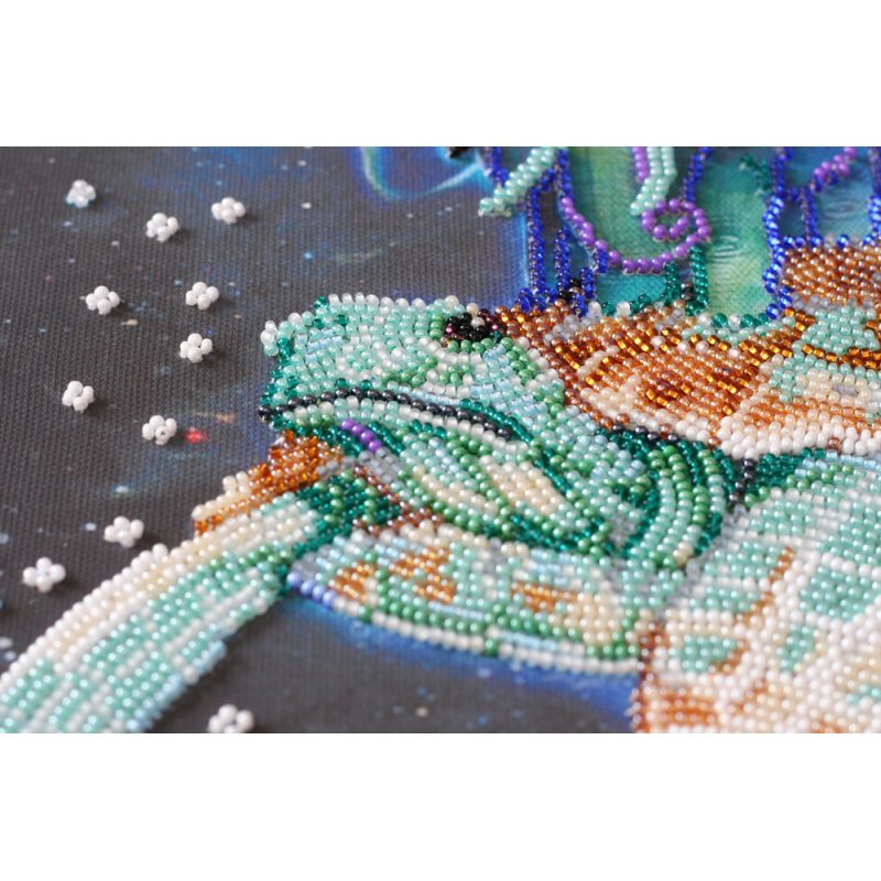 Bead Embroidery Kit on Art Canvas "Universe"